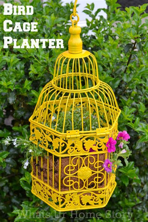Bird Cage Planter Whats Ur Home Story Bird Cage Planter Birdcage