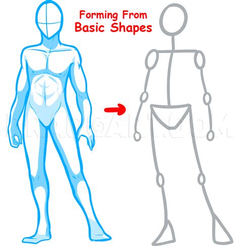 How To Draw Anime Bodies Draw Anime Body Figures Step By Step