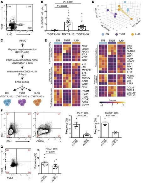 JCI Impaired TIGIT Expression On B Cells Drives Circulating