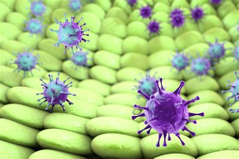 Viruses Infecting Cells Photograph By Kateryna Konscience Photo