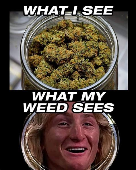 36 Hilarious Weed Memes That Bring The Dankness Funny Gallery Ebaum