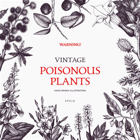 Poisonous Plants Warning Poster Vintage Vector 02 Welovesolo