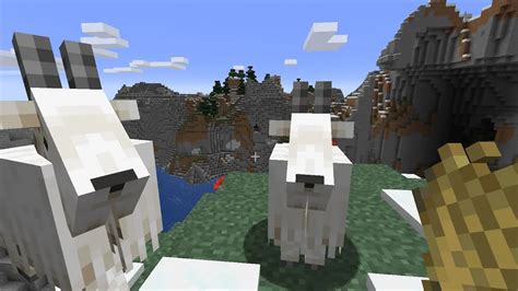 How To Tame Goats In Minecraft Gamepur