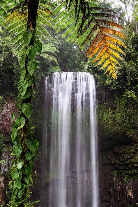 Best Waterfalls Near Cairns 17 Waterfalls You Have To See ⋆ We Dream