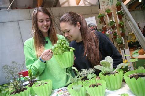 Mai 2021 die mittelrheinhalle und rheinanlagen zum thema alles rund um haus & garten in ein mekka für häuslebauer, renovierer, sanierer und vor allem gartenfreunde verwandeln. Garten Salzburg Messe - Frag'sApp