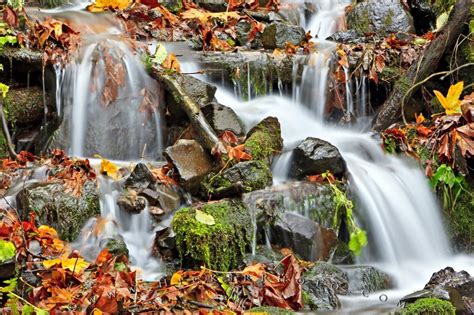 Fall Leaves Waterfall Flowing Water Photo Information