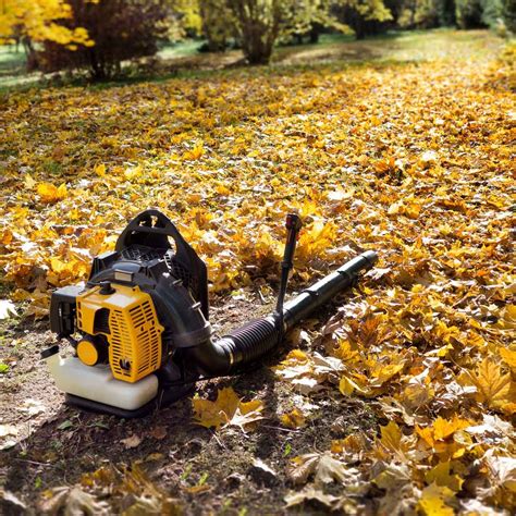 We did not find results for: 8 Best Leaf Blowers | The Family Handyman