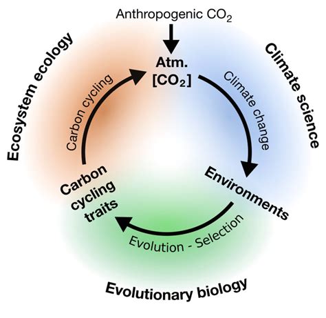 Climate Change Evolution And What Happens When Researchers Are Also