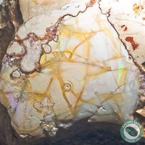 Xl 519 In Opal Thunderegg Nodule Idaho Opal Minerals