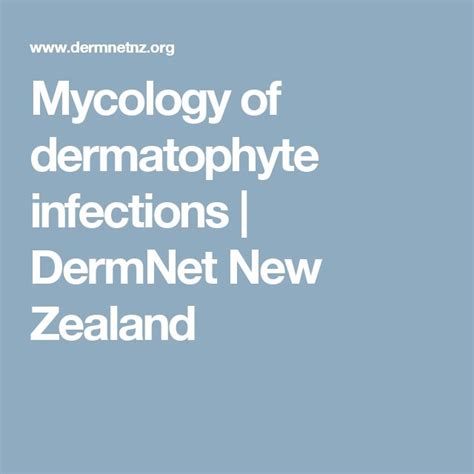 Mycology Of Dermatophyte Infections Dermnet New Zealand