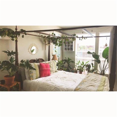Find out simple bedroom decoration ideas that will result in a great bedroom for you! I've turned my bedroom into a jungle! : IndoorGarden ...