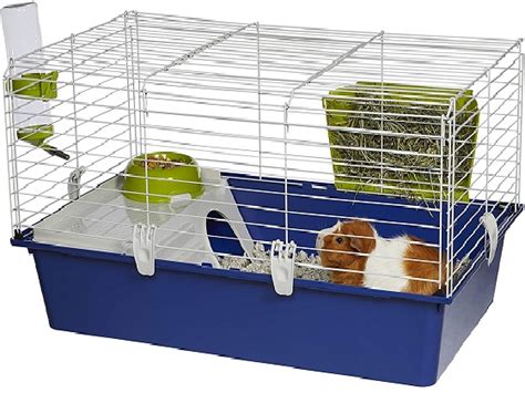 Best 10 Cheap Guinea Pig Cages Of Various Sizes And Designs
