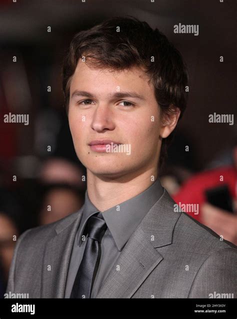 Ansel Elgort Attending The Divergent Premiere In Los Angeles Stock