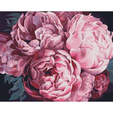 Peonies Paint By Number Kit Color By Numbers Kit Floral Etsy