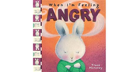When Im Feeling Angry The Feelings Series By Trace Moroney