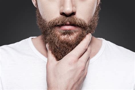 50 beard facts what science and history has to say
