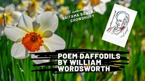 Poem Daffodils By William Wordsworth Youtube