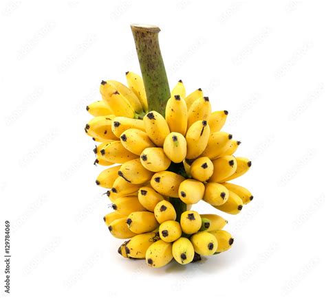 Banana Bunch Isolated On White Backgroundripe Bananas Bunch Iso Stock