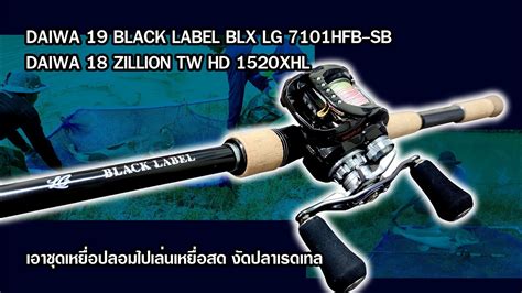DAIWA BLACK LABEL LG DAIWA ZILLION TW HD ตามหามอนสเตอร ปลาเรดเทล