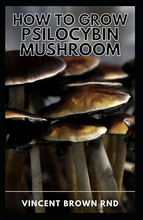 Buy How To Grow Psilocybin Mushroom The Ultimate Step By Step Guide To