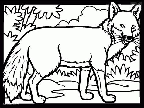 As your child colors this fox coloring page, he'll also get a head start on spelling and exercise his fine motor skills, too! Cute Baby Fox Coloring Pages - Coloring Home