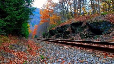 Wallpaper Trees Landscape Forest Rock Nature Reflection Railway