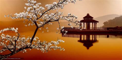 Oriental Desktop Wallpapers Top Free Oriental Desktop Backgrounds