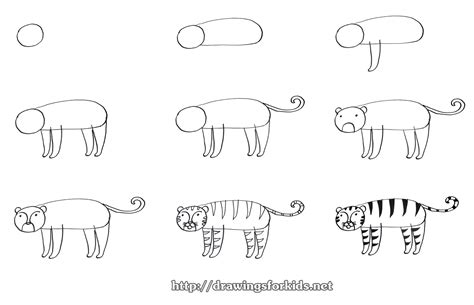 How To Draw Tiger Bilscreen