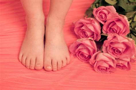 Feet With Pink Flowers Stock Photo Image Of Beauty Fragile 3767908