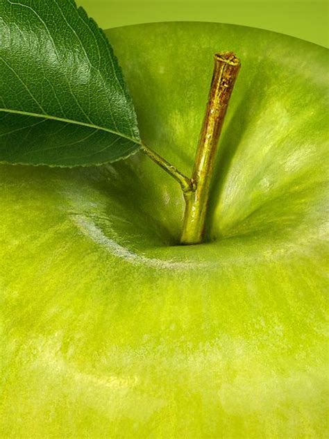 Pin Di Vj Cast Su Aesthetic Green Colour And Texture Colori Frutta