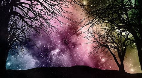 55 X 30 Galaxy Forest Wallpaper Wall Decal Art Bedroom Starry Night