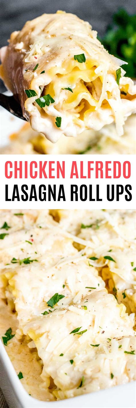 Chicken Alfredo Lasagna Roll Ups ⋆ Real Housemoms