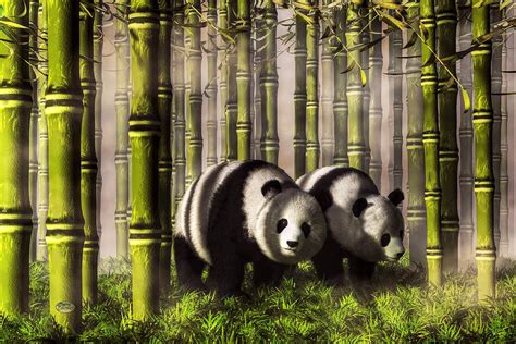Pandas In A Bamboo Forest Digital Art By Daniel Eskridge Fine Art America