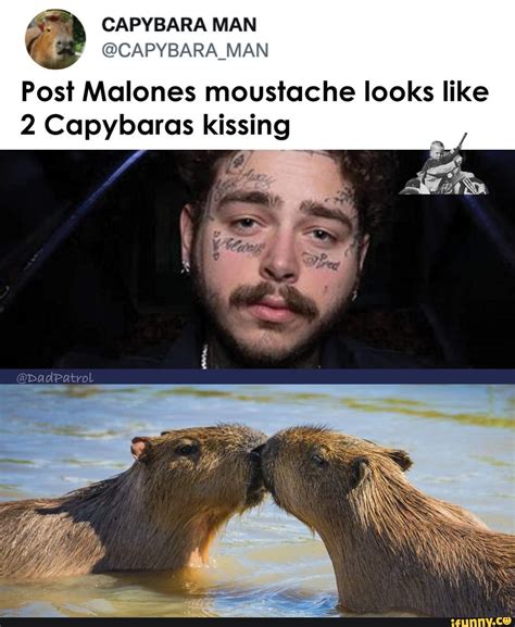 Capybara Man Man Post Malones Moustache Looks Like 2 Capybaras Kissing