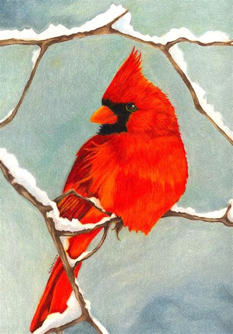 Red Cardinal In Winter Birds Painting Painting And Drawing Canvas