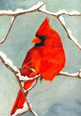 More images for how to draw a red cardinal bird » Red Cardinal in Winter in 2019 | Watercolor paintings ...