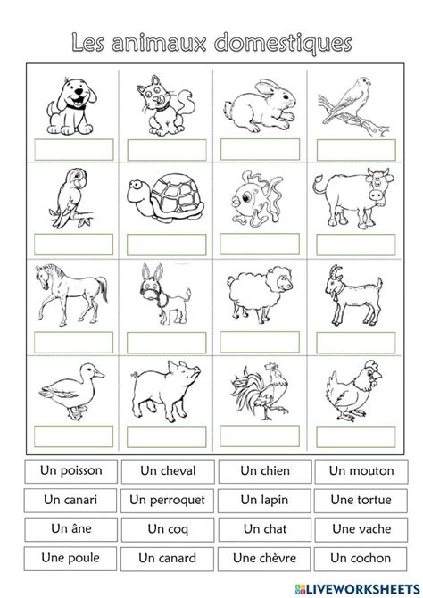 The French Language Worksheet With Pictures Of Animals
