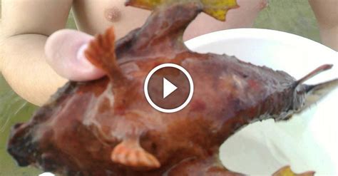 Bizarre Fish With Legs Caught In The Gulf Of Mexico Getzone