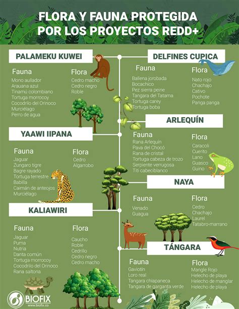 ¿cuáles Son Las Especies De Flora Y Fauna Protegidas Por Cada Proyecto
