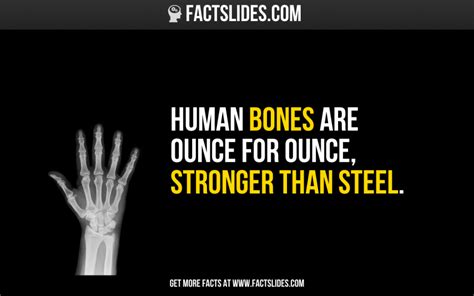 Are Bones Stronger Than Steel Images And Photos Finder