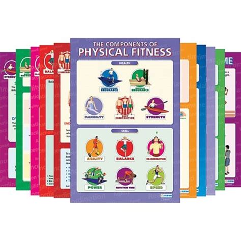 Components Of Physical Fitness Posters Pack X 12