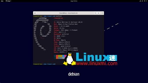 Debian Versions Serrefa