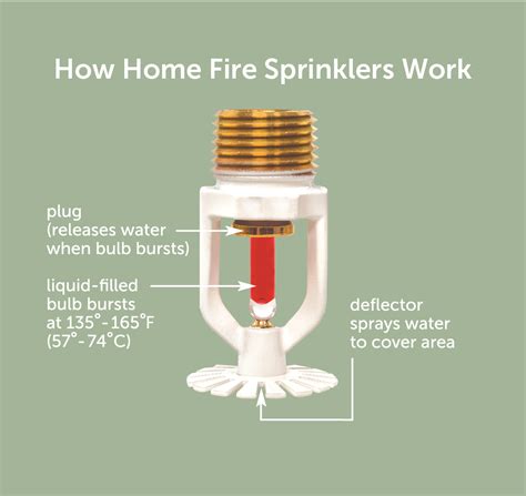 Home Fire Sprinklers Myth Busting Home Fire Sprinkler Coalition Canada
