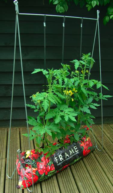 Tomato Growing System Garden Products And Advice From Yellowbelly Gardening