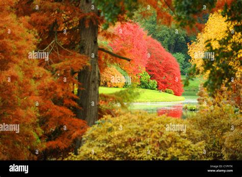 Garden Displays Hi Res Stock Photography And Images Alamy