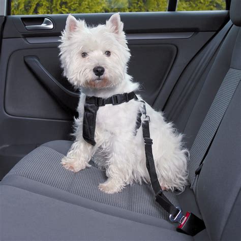 Dog Car Harness Fully Adjustable Also Be Used For Walks Easy To Put On