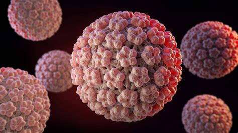 NCI Cancer Centers Endorse HPV And COVID Vaccinations Cold Spring Harbor Laboratory