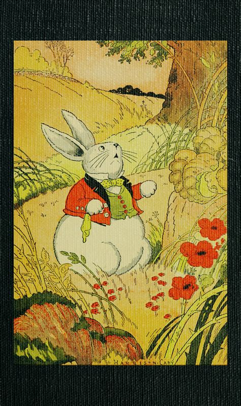 The Tale Of Peter Rabbit Classic Books
