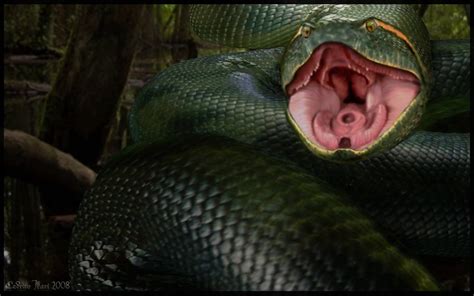giant anaconda movie monster wiki fandom