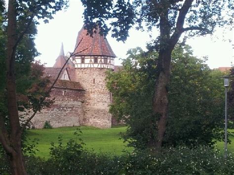 Bei uns finden sie ein passendes einfamilienhaus, reihenhaus, deppelhaushälfte zum kauf in weil der stadt, in der umgebung, in der sie auch suchen. Turm Weil der Stadt (With images) | House styles, Tree, Garden